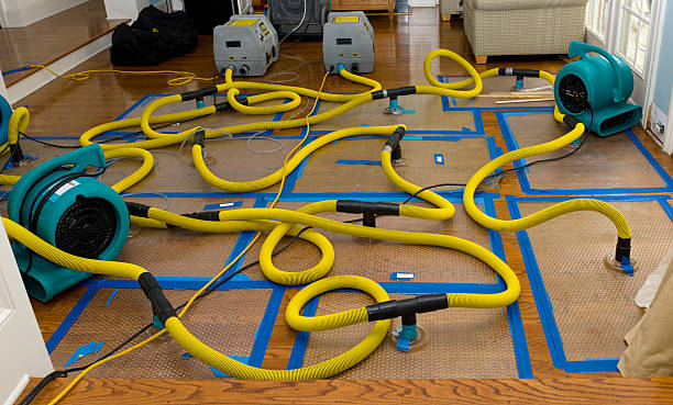 Professional Crawl Space Water Removal technician working in Russell, GA